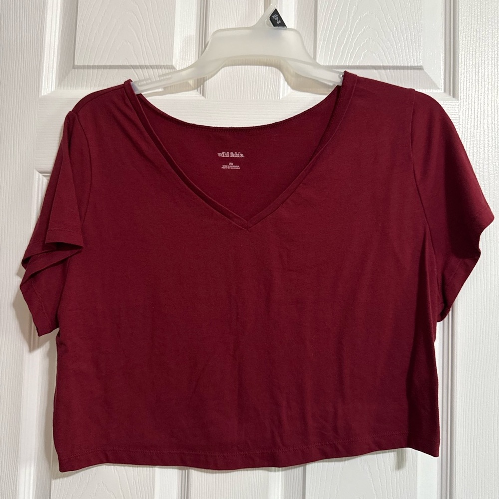 Wild Fable Deep Red V-Neck Crop Top